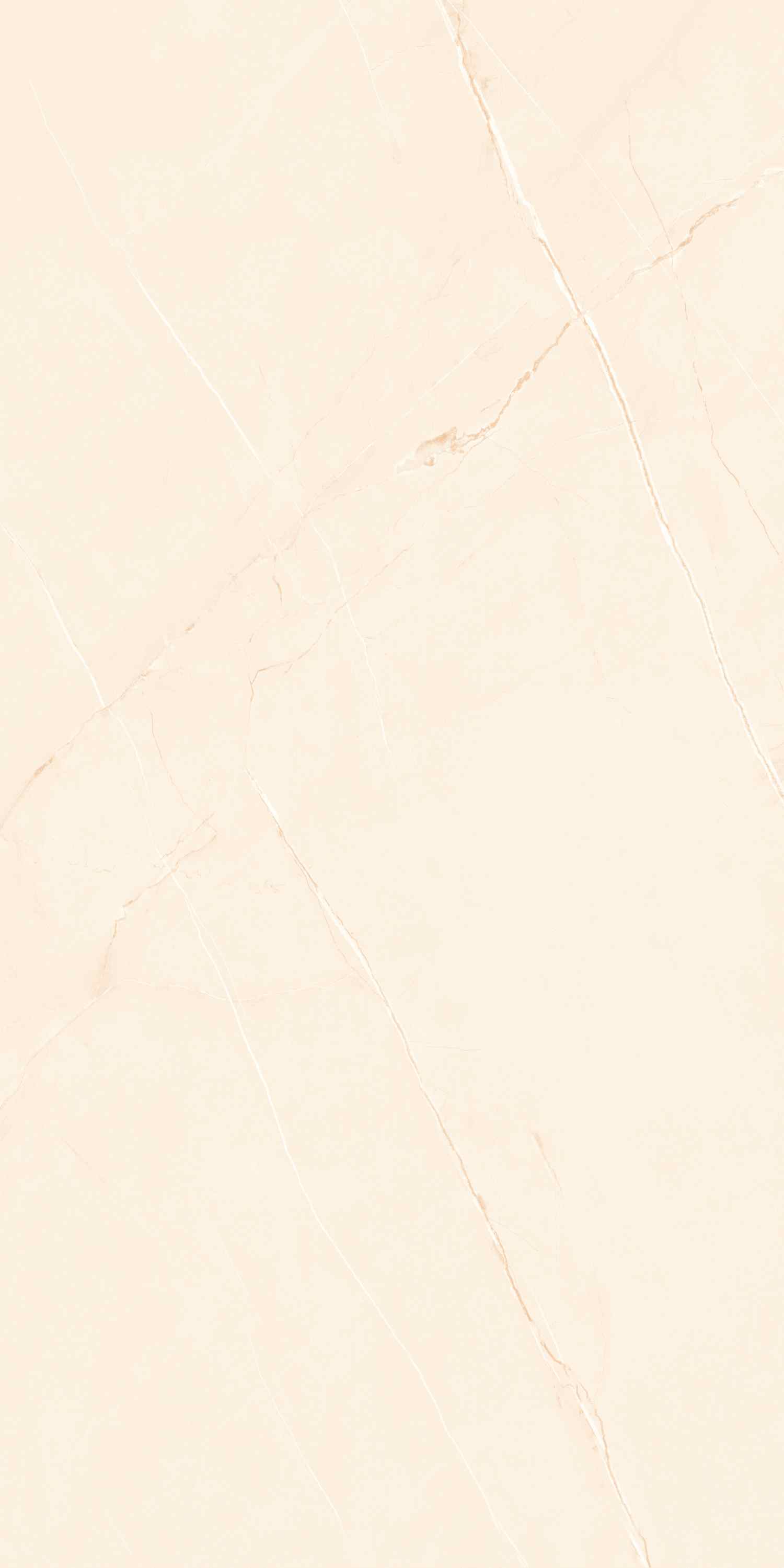 Превью 3 Керамогранит SCARLET IVORY (GLOSSY)