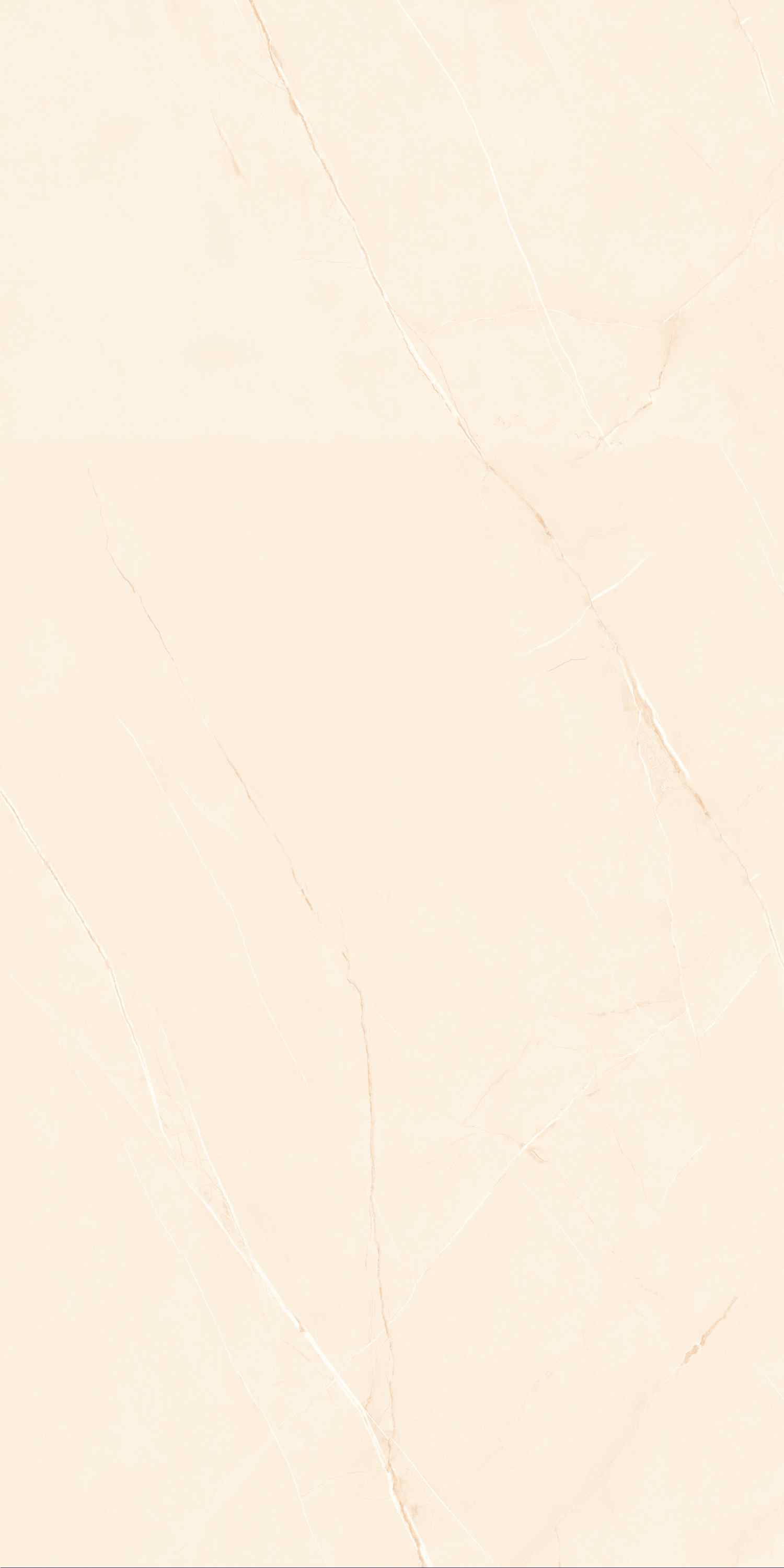 Превью 4 Керамогранит SCARLET IVORY (GLOSSY)