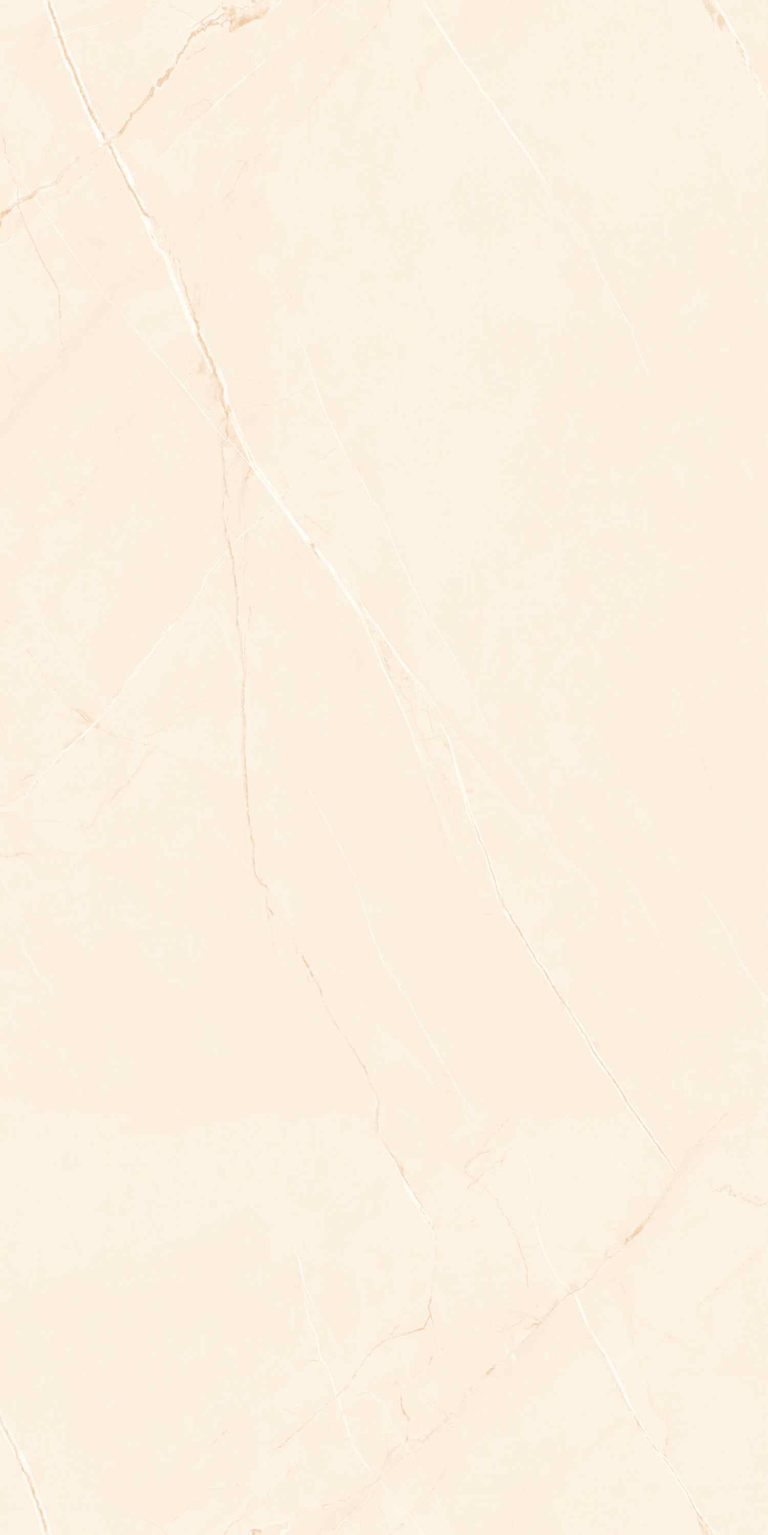 Превью 6 Керамогранит SCARLET IVORY (GLOSSY)