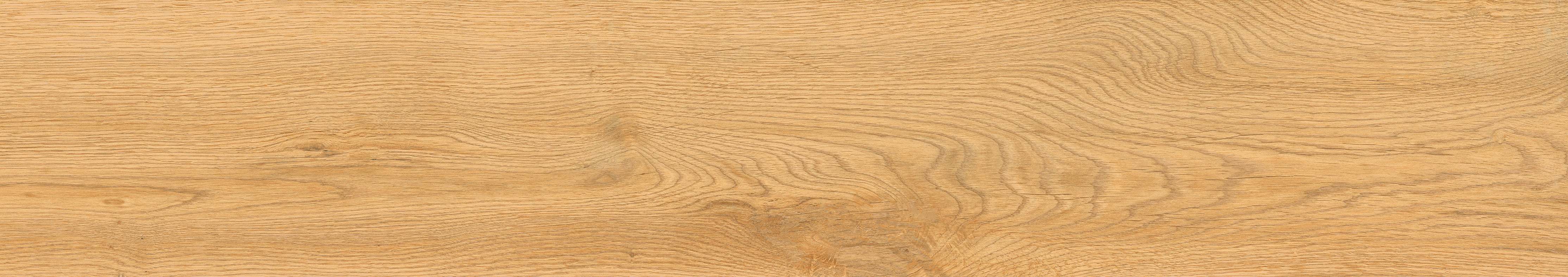 Превью 3 Керамогранит CEDRALIS NATURAL (MATT PUNCH)