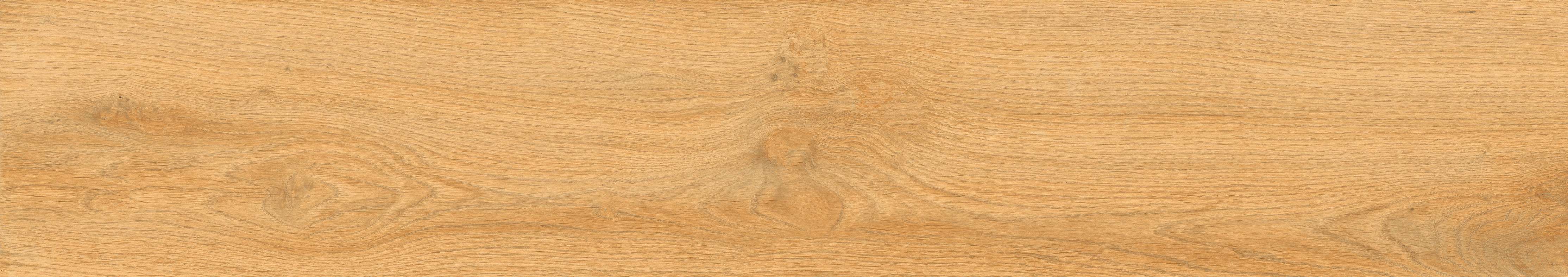 Превью 10 Керамогранит CEDRALIS NATURAL (MATT PUNCH)