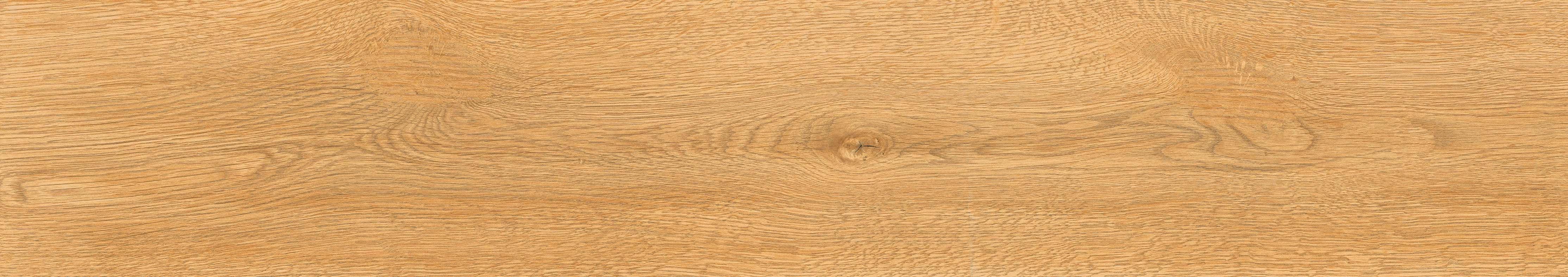 Превью 13 Керамогранит CEDRALIS NATURAL (MATT PUNCH)