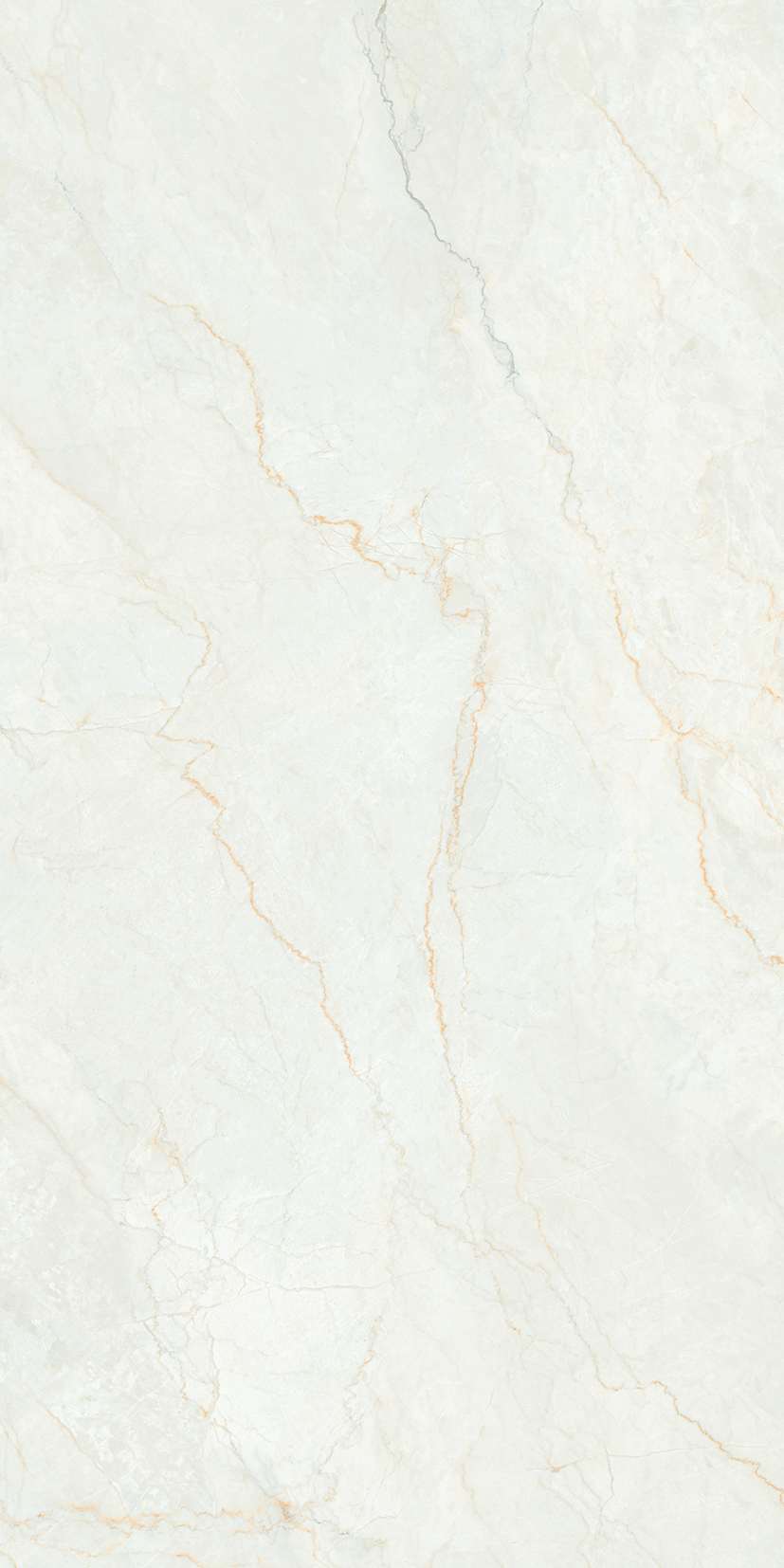 Превью 4 Керамогранит RC ROMAN ORO 2P GV (FEATHER TOUCH)