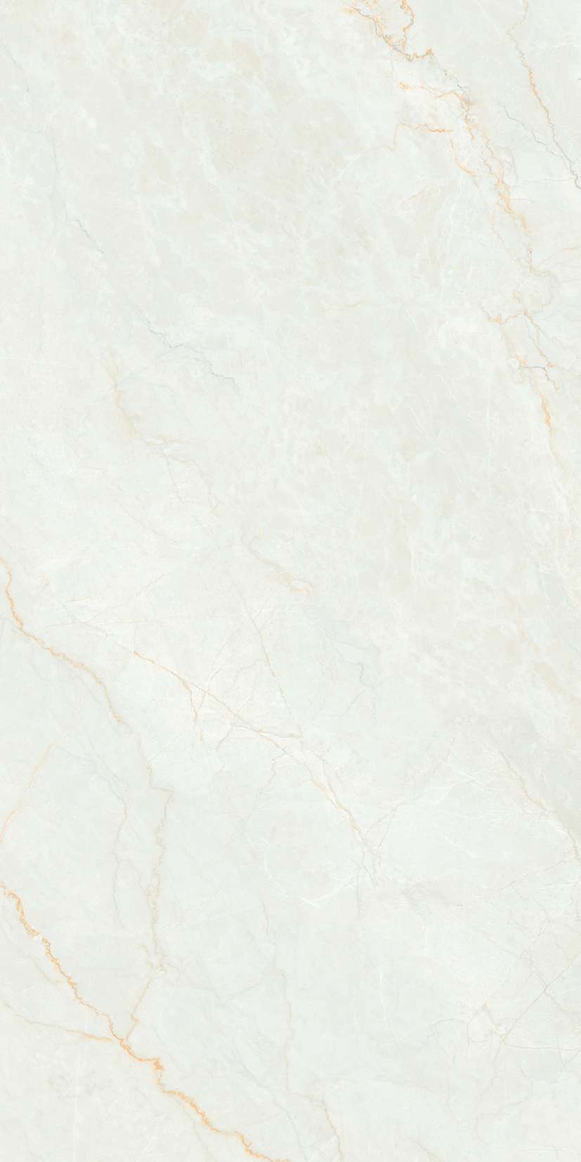 Превью 6 Керамогранит RC ROMAN ORO 2P GV (FEATHER TOUCH)