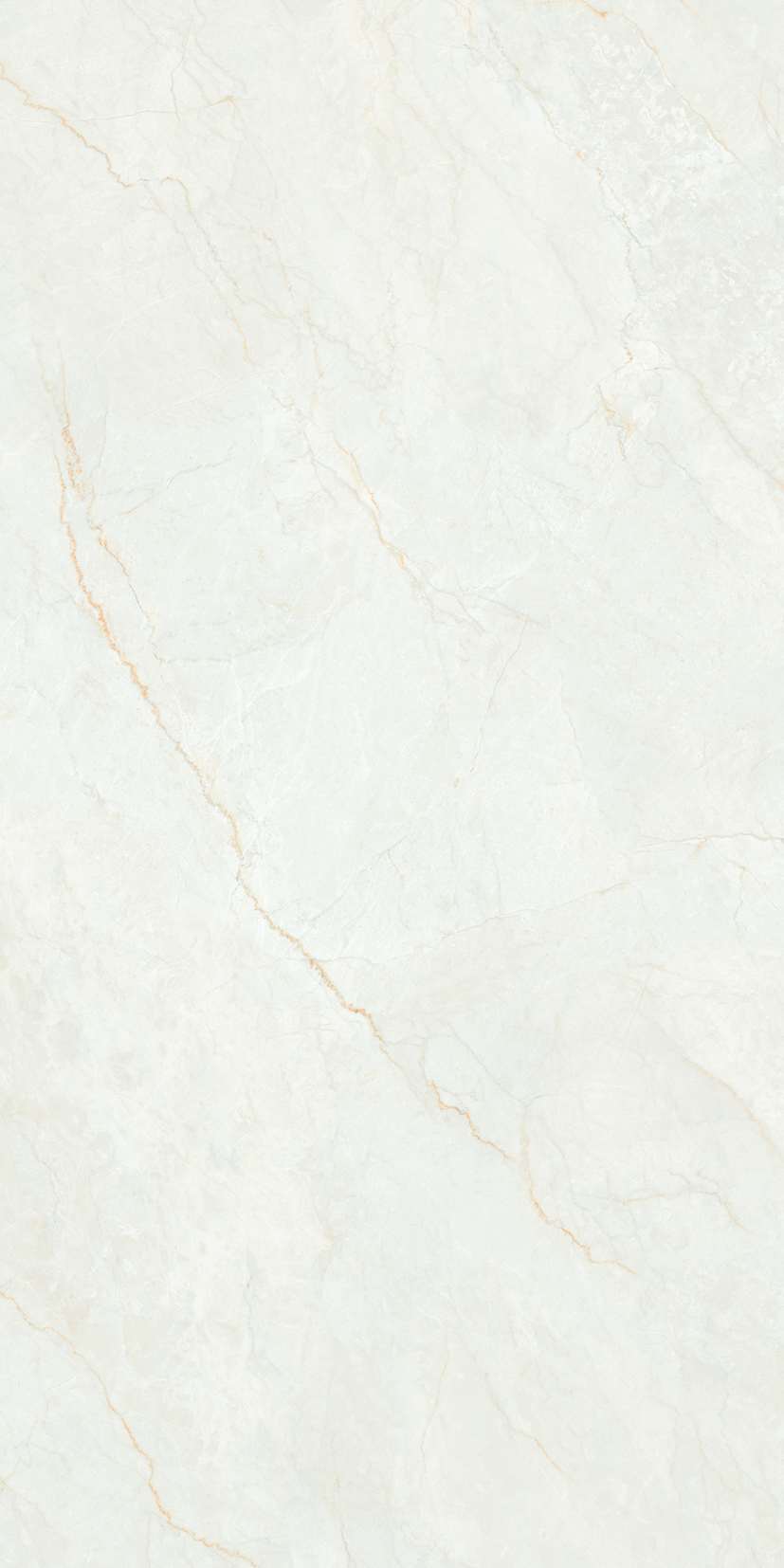 Превью 10 Керамогранит RC ROMAN ORO 2P GV (FEATHER TOUCH)