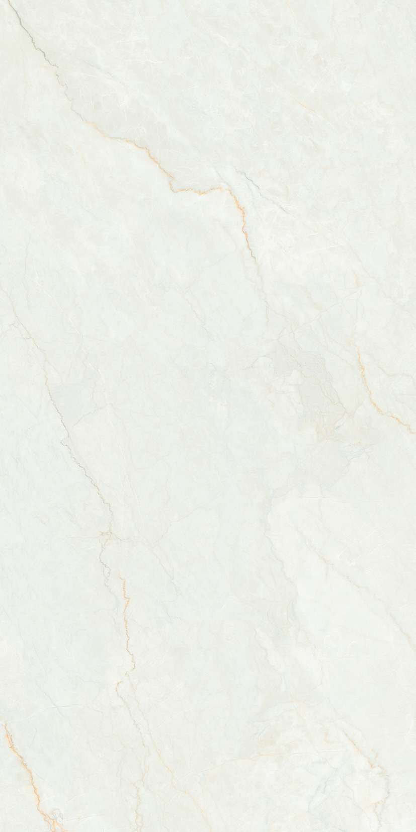 Превью 11 Керамогранит RC ROMAN ORO 2P GV (FEATHER TOUCH)