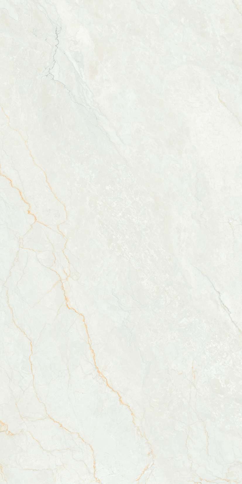 Превью 12 Керамогранит RC ROMAN ORO 2P GV (FEATHER TOUCH)