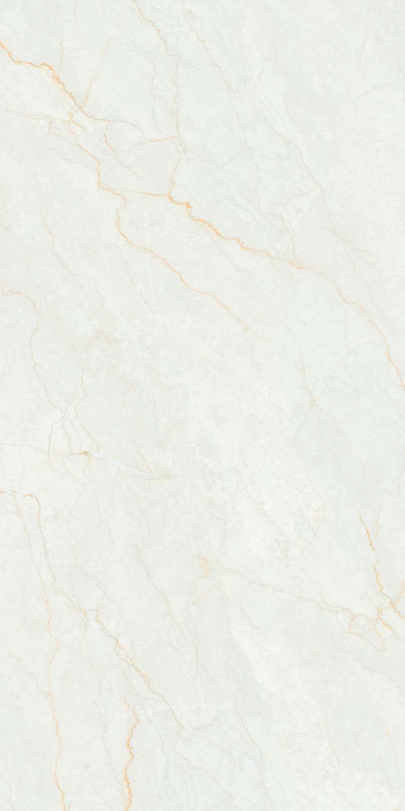 Превью 14 Керамогранит RC ROMAN ORO 2P GV (FEATHER TOUCH)