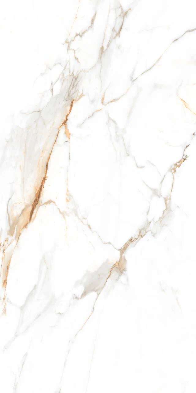 Превью 2 Керамогранит AUSTRAIN NATURAL (GLOSSY)