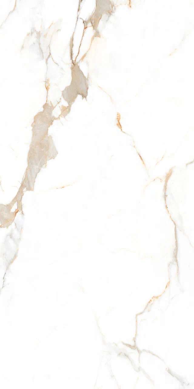 Превью 6 Керамогранит AUSTRAIN NATURAL (GLOSSY)