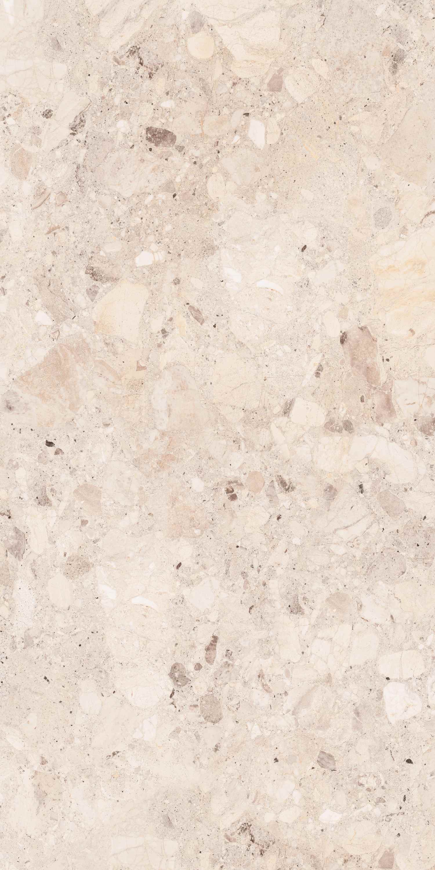 Превью 2 Керамогранит CLIO IVORY (DECK)