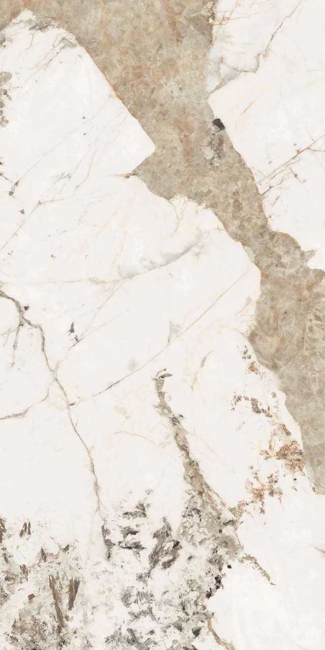 Превью 2 Керамогранит FOREST (GLOSSY)