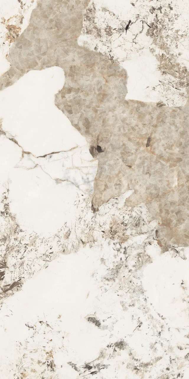 Превью 3 Керамогранит FOREST (GLOSSY)