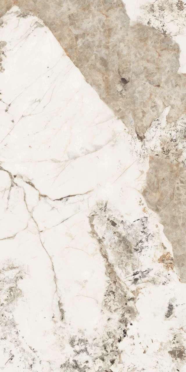 Превью 4 Керамогранит FOREST (GLOSSY)