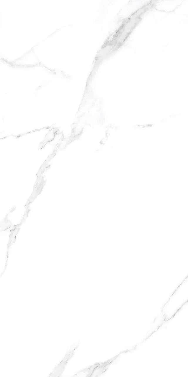 Превью 5 Керамогранит ORLANDO BIANCO (CARVING)