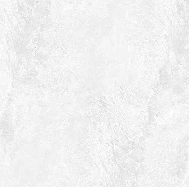 Превью 2 Керамогранит RC 5100 BIANCO (CARVING)