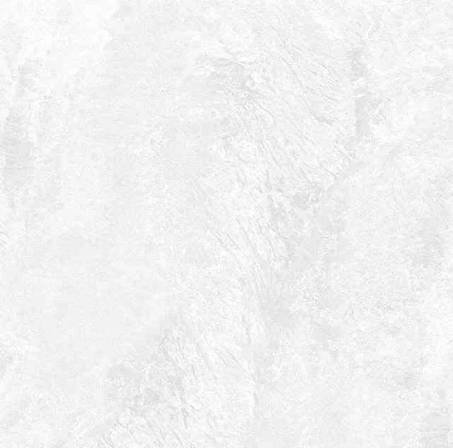 Превью 3 Керамогранит RC 5100 BIANCO (CARVING)