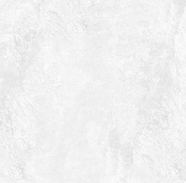 Превью 4 Керамогранит RC 5100 BIANCO (CARVING)