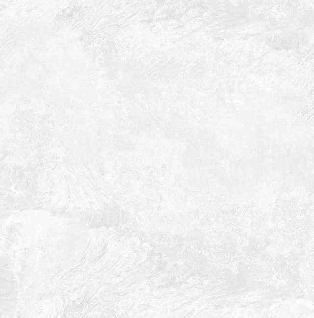 Превью 5 Керамогранит RC 5100 BIANCO (CARVING)