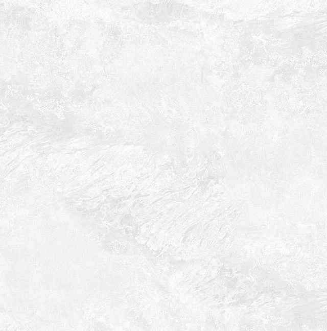 Превью 6 Керамогранит RC 5100 BIANCO (CARVING)