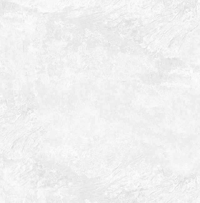 Превью 7 Керамогранит RC 5100 BIANCO (CARVING)