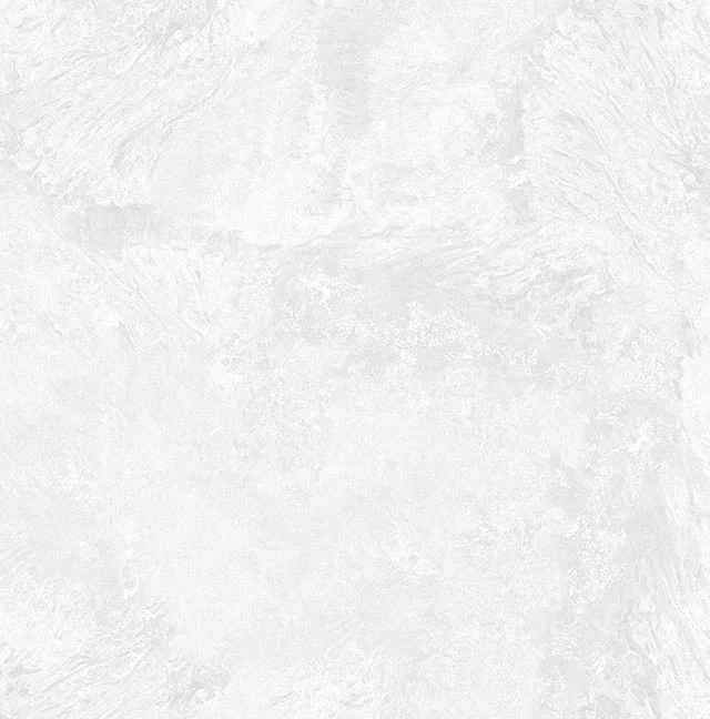 Превью 8 Керамогранит RC 5100 BIANCO (CARVING)