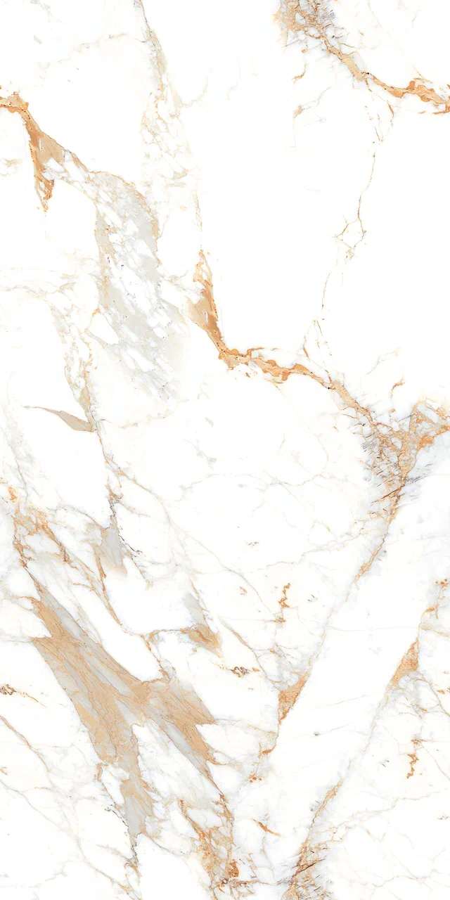 Превью 2 Керамогранит ROMAN BROWN (AUTHENTIC)