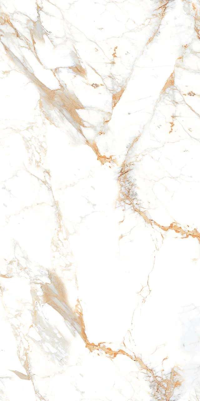 Превью 3 Керамогранит ROMAN BROWN (AUTHENTIC)