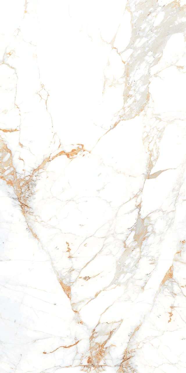 Превью 4 Керамогранит ROMAN BROWN (AUTHENTIC)