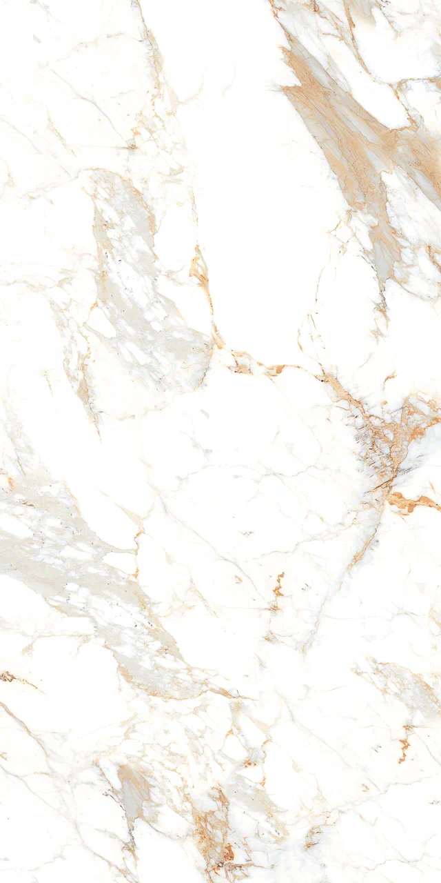 Превью 5 Керамогранит ROMAN BROWN (AUTHENTIC)