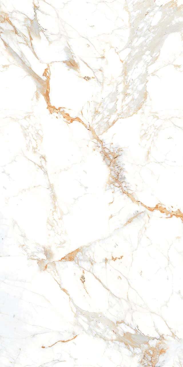 Превью 6 Керамогранит ROMAN BROWN (AUTHENTIC)