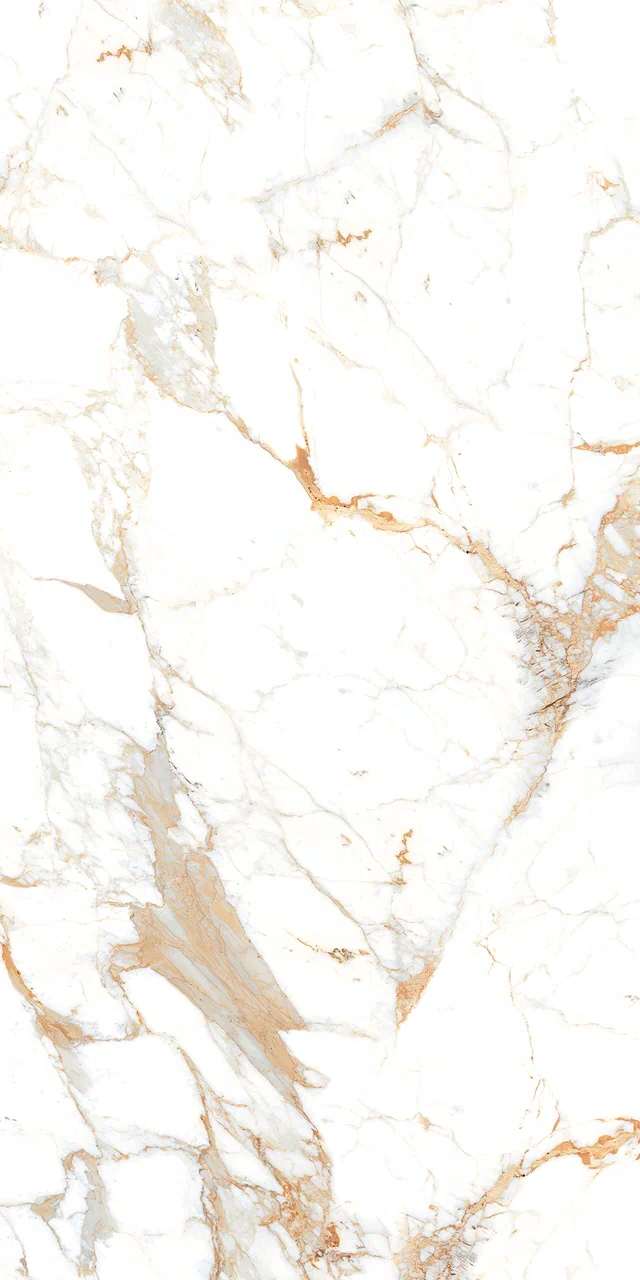 Превью 7 Керамогранит ROMAN BROWN (AUTHENTIC)