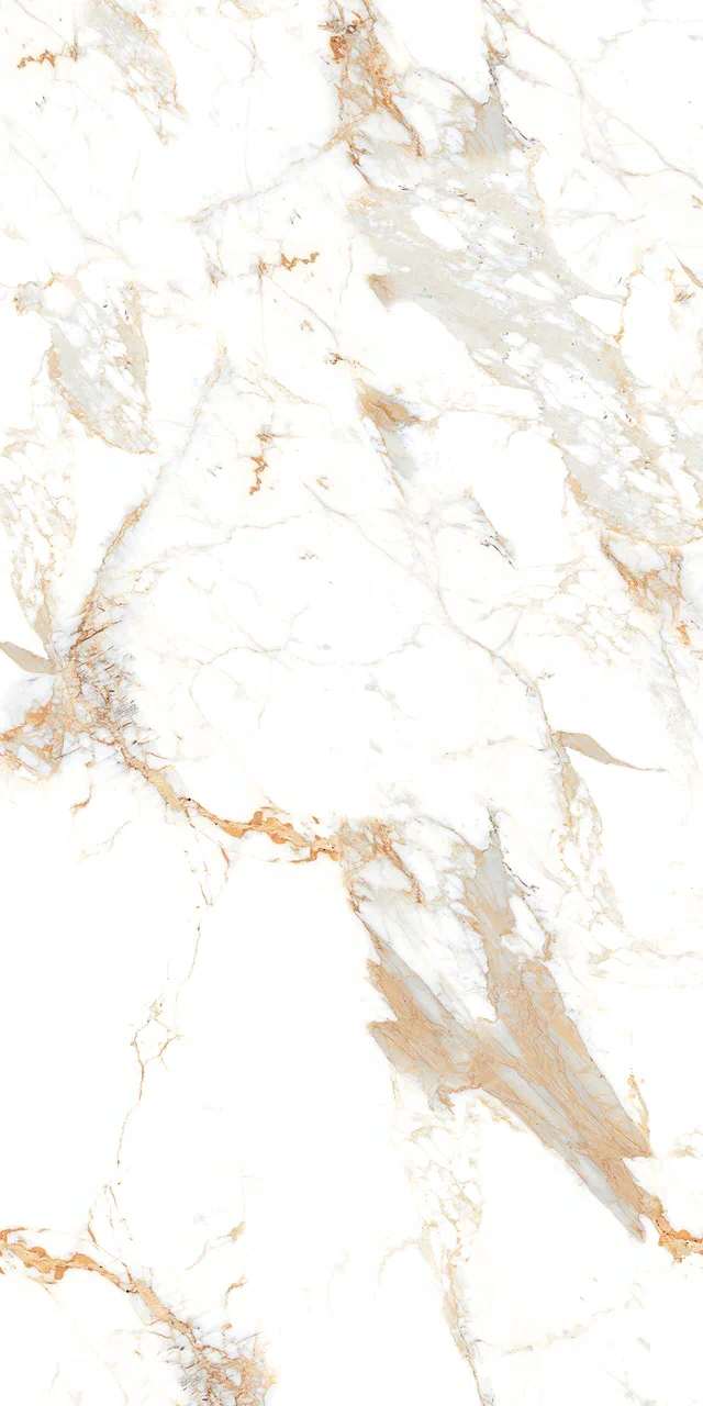 Превью 8 Керамогранит ROMAN BROWN (AUTHENTIC)