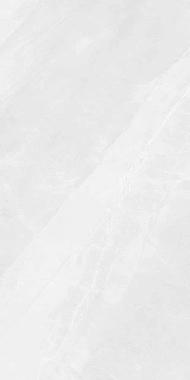 SCAMBIO WHITE (GLOSSY)